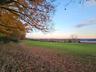 Side Field