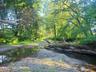 Mud Creek