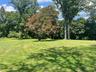 View of grassy yard