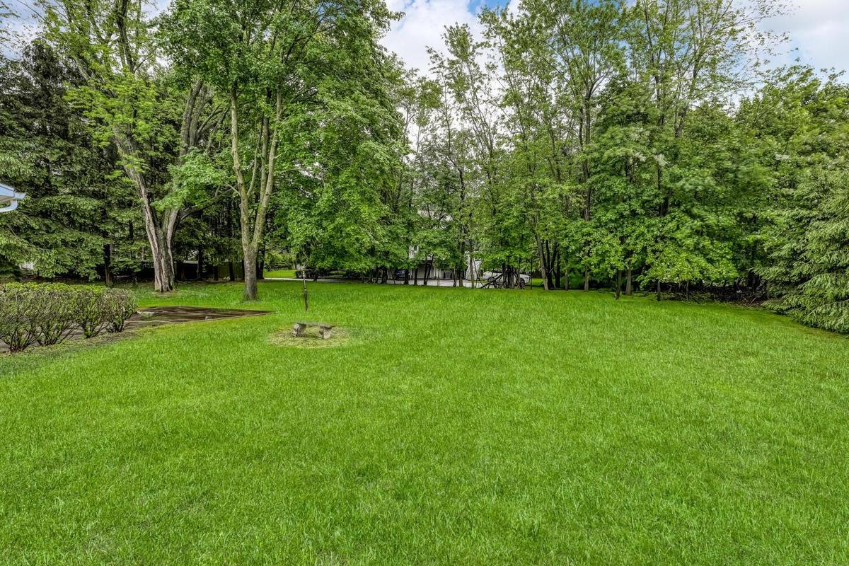 View of green lawn