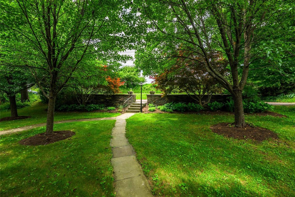 View of grassy yard