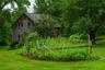 Back garden