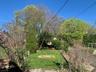Deep Backyard