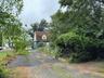 Backyard facing house