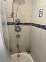 Full bath with shower / tub combo