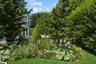 View of garden