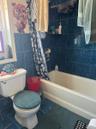Full bathroom featuring shower / bath combo, tile walls, and tile patterned floors