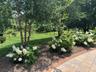 Views from patio