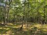 Land view