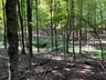 View of wooded area