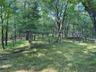 Land view
