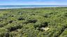 Drone / aerial view of a heavily wooded area