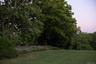 View of tree filled area
