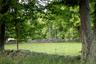 View of grassy yard