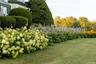 View of grassy yard