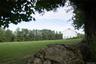 View of green lawn