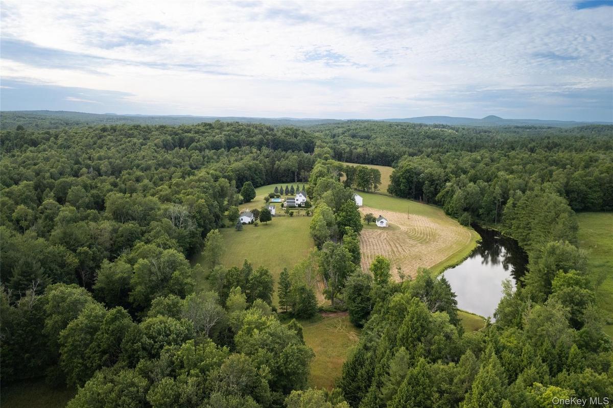 Aerial view of a forest and a nearby body of water