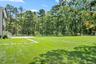View of grassy yard