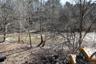 Callicoon Creek Frontage