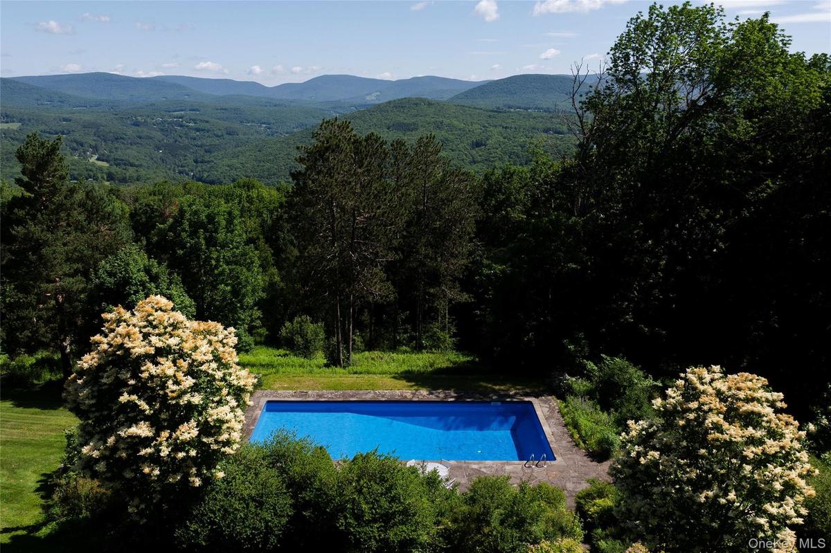 Outdoor pool featuring a mountain view and a wooded view