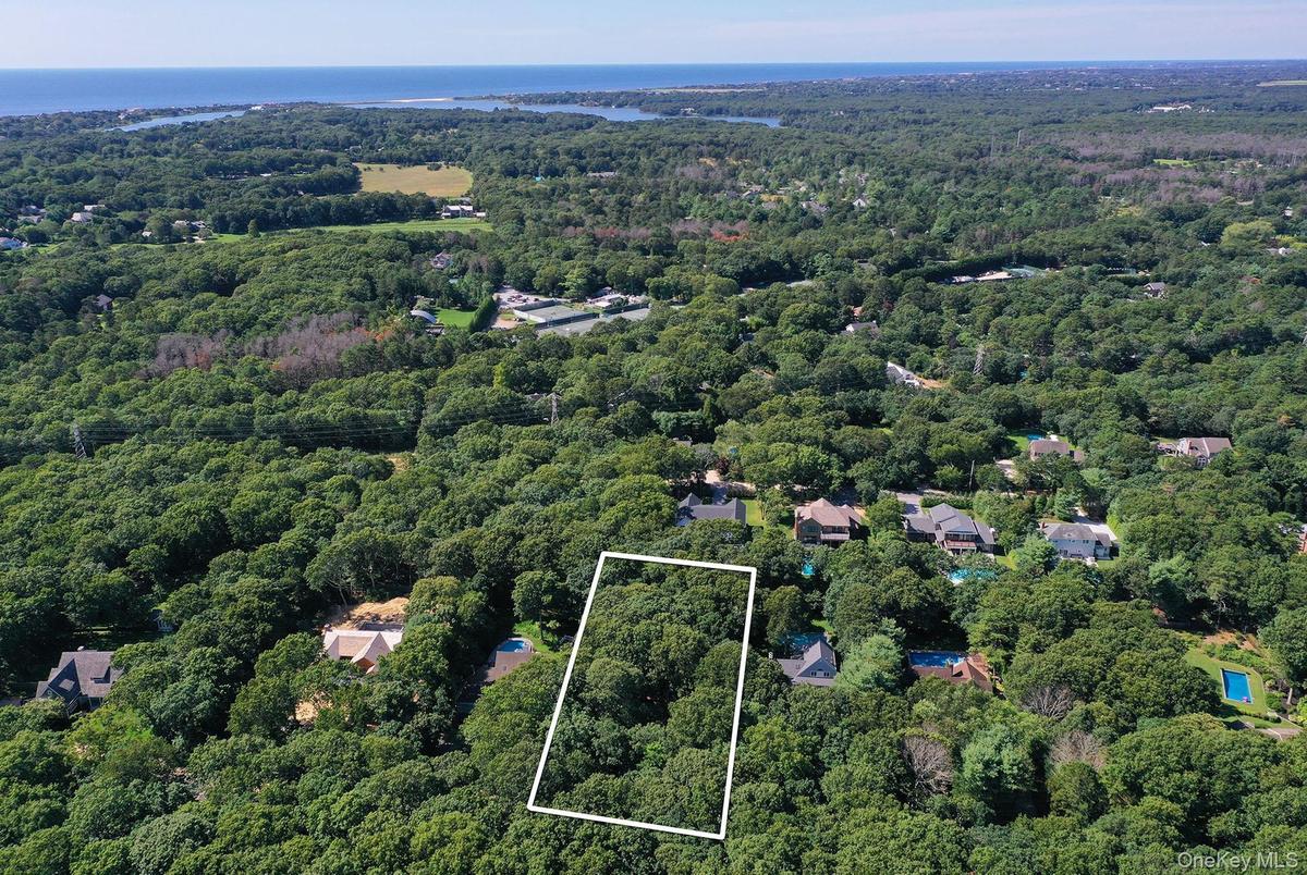 Bird's eye view with a forest view