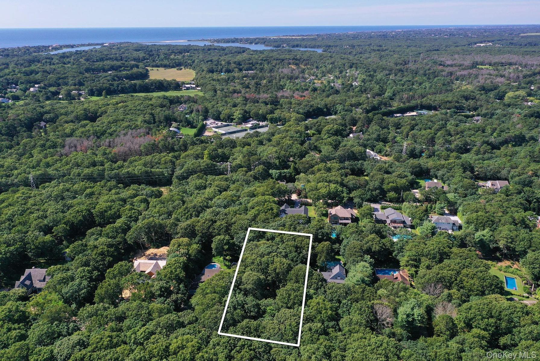 Bird's eye view with a forest view