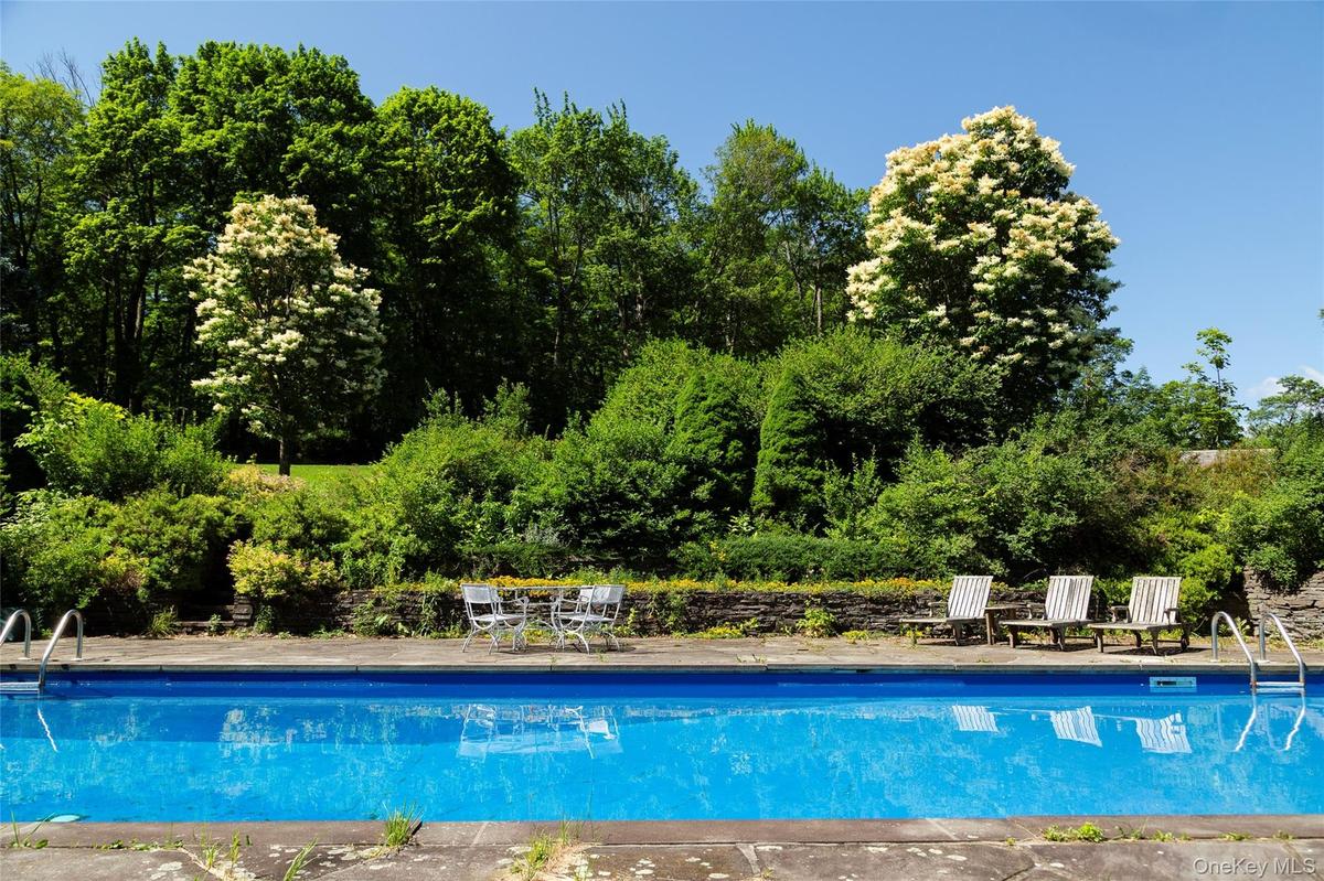 Outdoor pool featuring a patio and view of wooded area