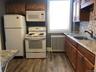 First Floor Front Building Kitchen featuring white appliances, light countertops, radiator, dark wood-style floors, and tasteful backsplash