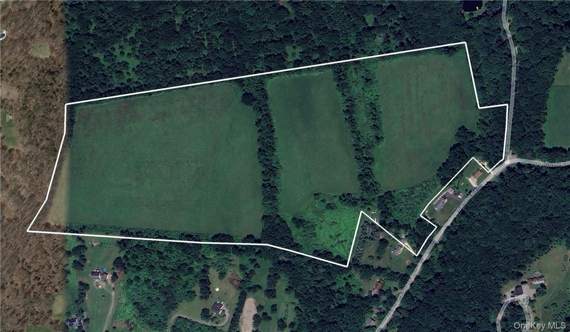 Google Earth image with outline of the parcel.