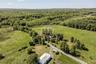 Aerial view of a forest