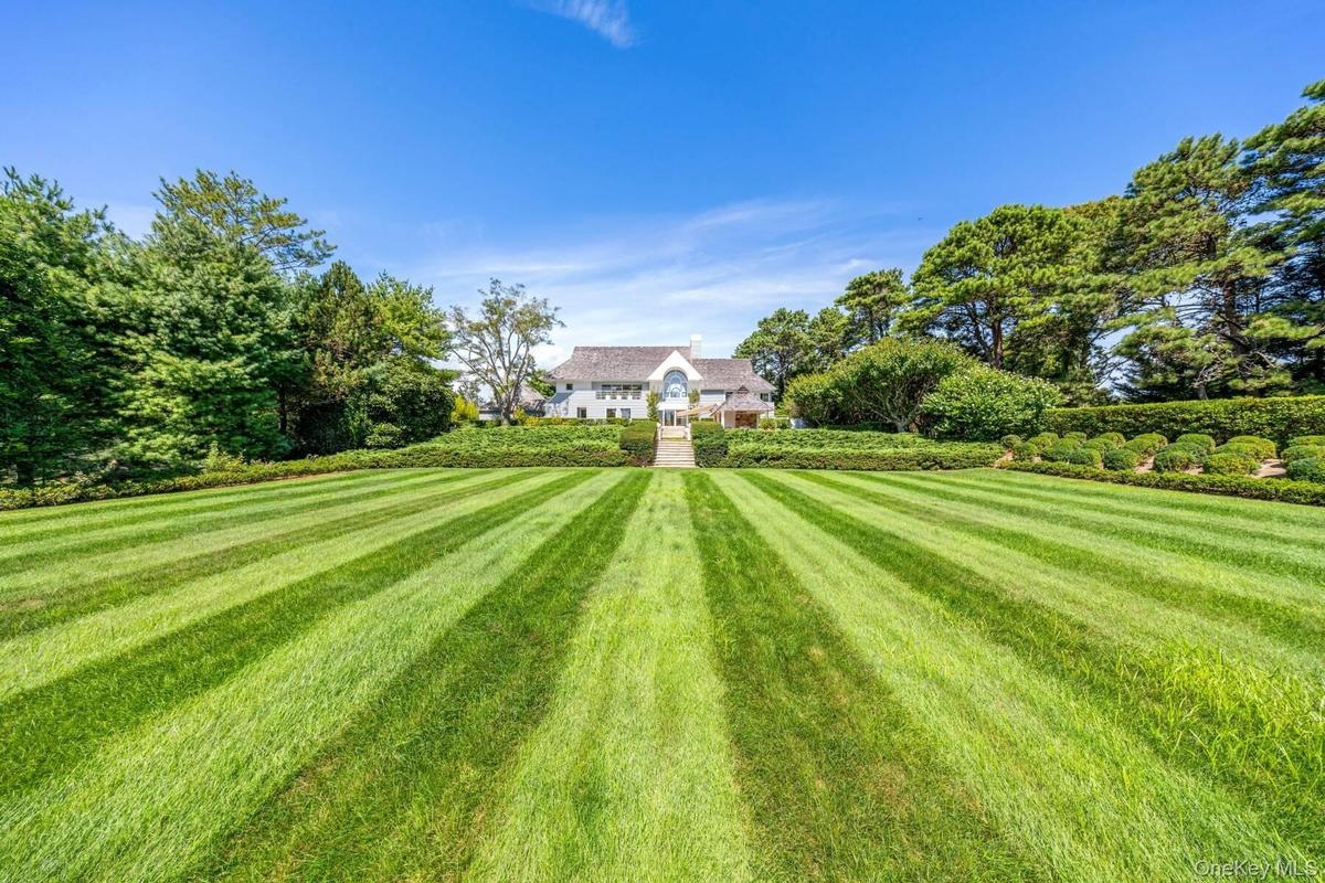 View of green lawn