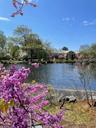Mindowaskin Spring