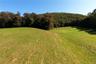 View of green lawn featuring a view of trees