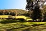 View of property's community with a yard and a forest view