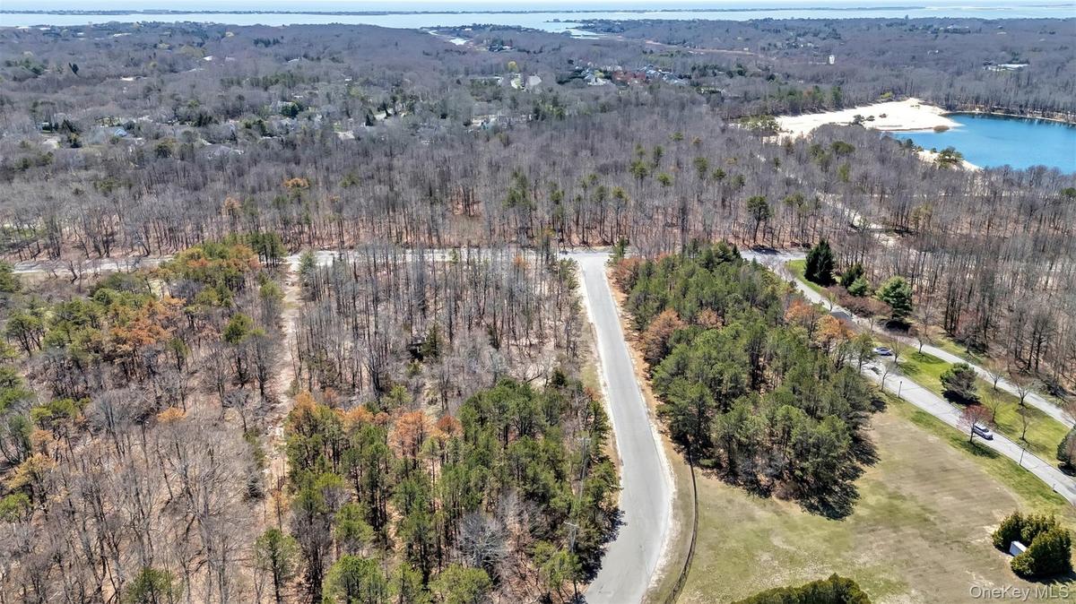 Aerial view featuring a water view and a wooded view