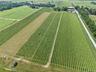 View of rural area with large plots for crops