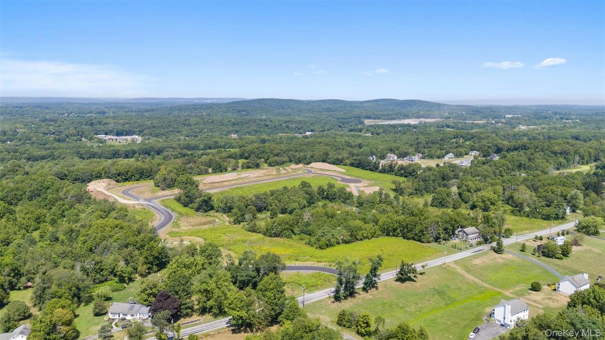 Drone / aerial view of a heavily wooded area and a mountain backdrop