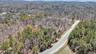 Bird's eye view featuring a forest view