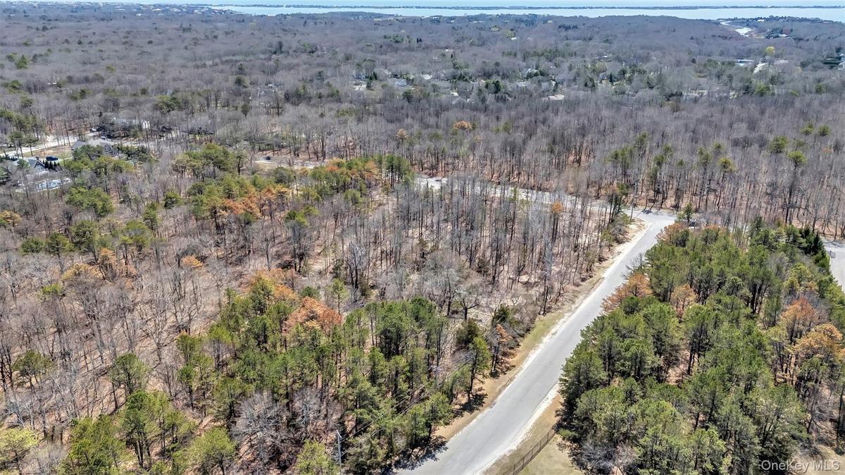 Drone / aerial view with a view of trees