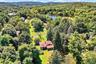 Aerial view of a forest