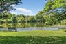 Water view with a heavily wooded area