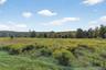 View of view of Highland Lakes State Parkland (across the street from home)