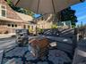 Outdoor lounge beside pool