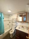 Bathroom with shower / tub combo with curtain, vanity, and lofted ceiling