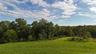 View of woods