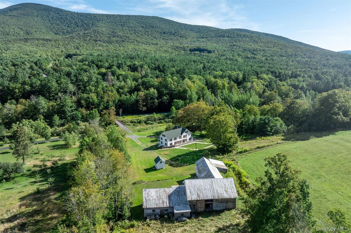 View from above of property with a forest and a mountainous background