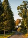 View of dirt / gravel driveway