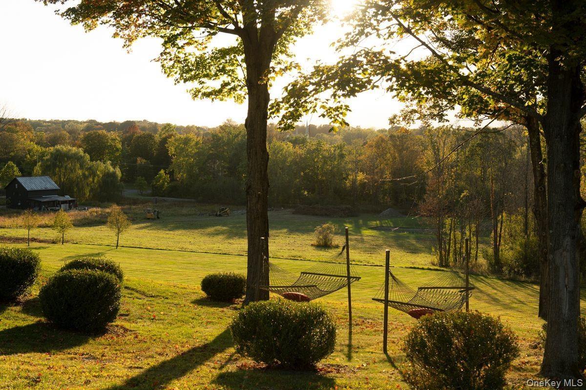 View of property's community with a lawn and a wooded view