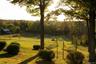 View of property's community with a lawn and a wooded view