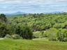 View of mountain background with a heavily wooded area